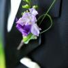 Floralisa freesia boutonniere