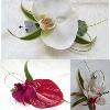 Floralisa tropical boutonnieres