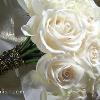 Floralisa roses and pearls.